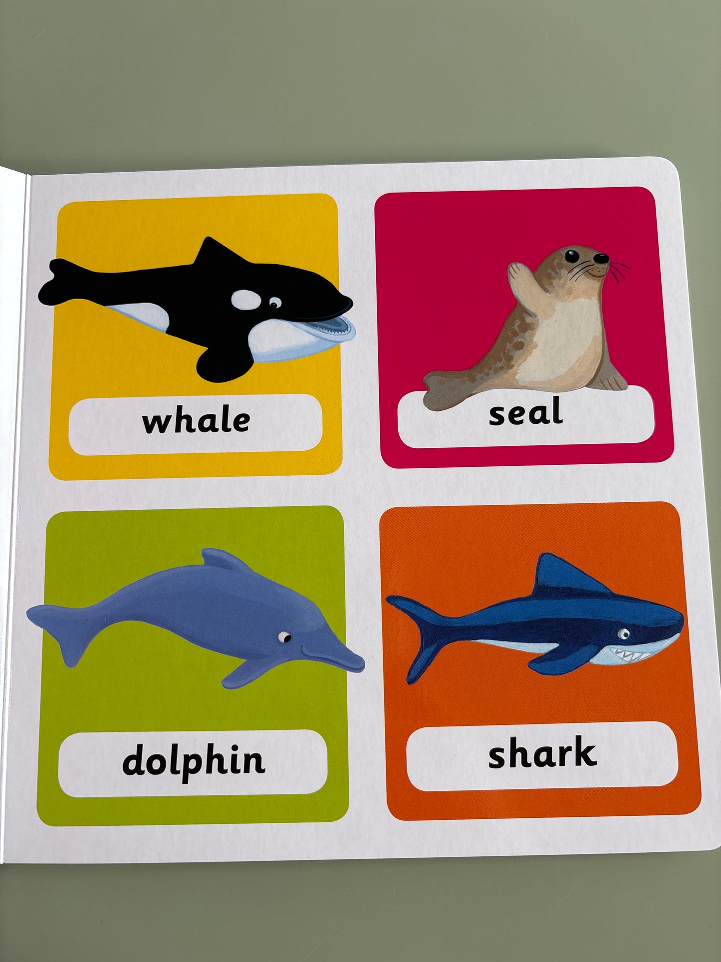 What’s That? Favourite Animals