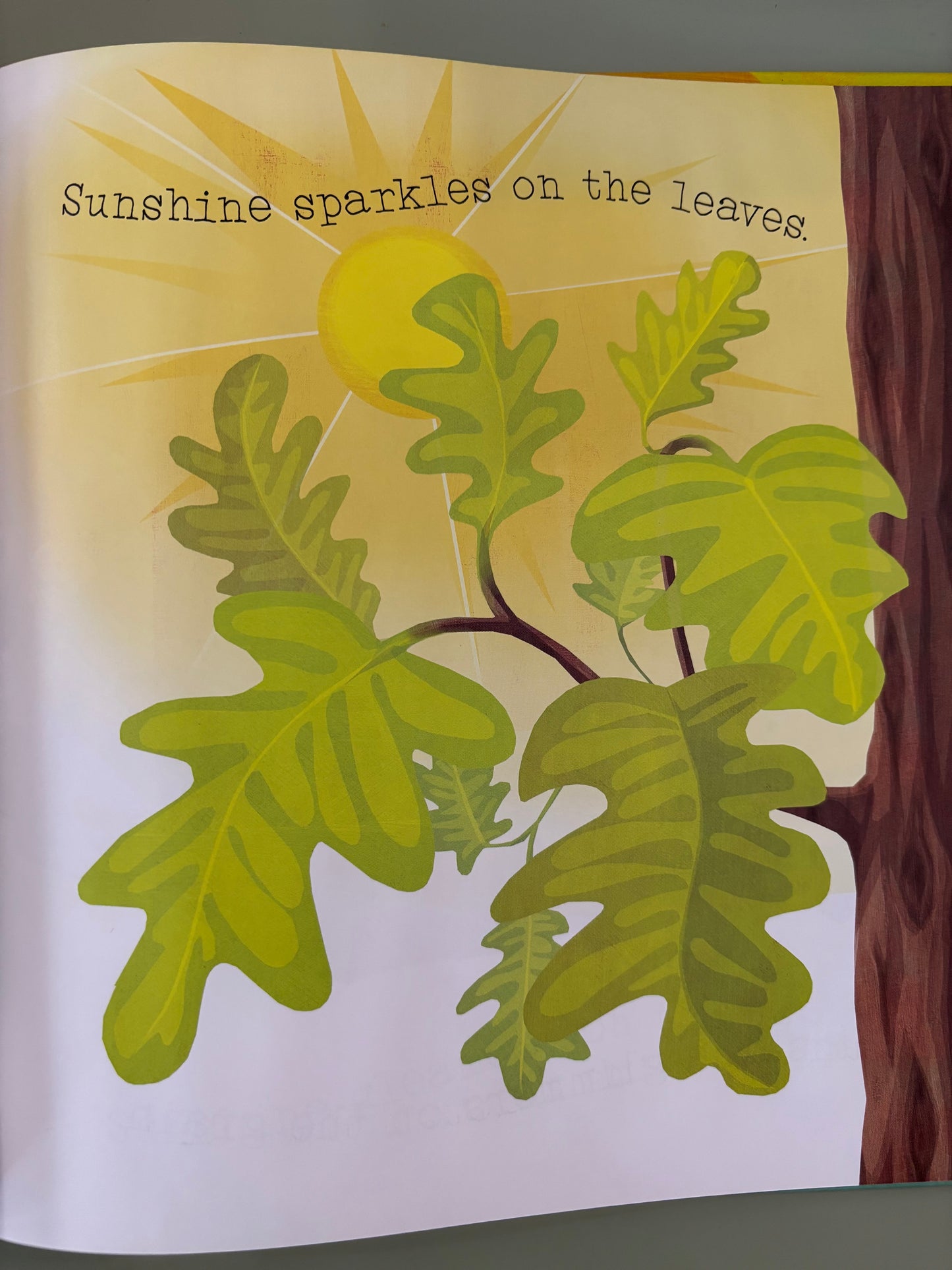 Sunshine Brightens Springtime