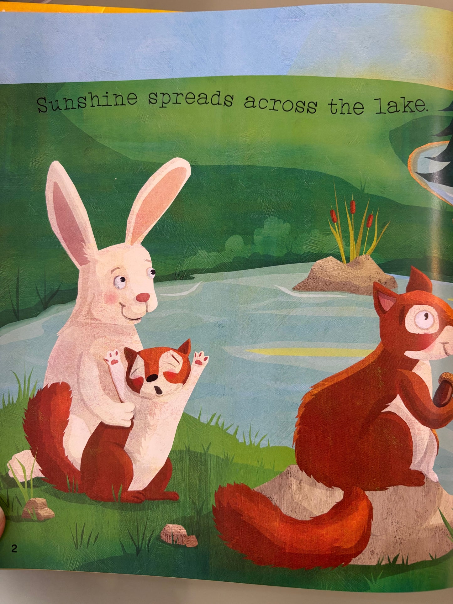 Raindrops Fall All Around