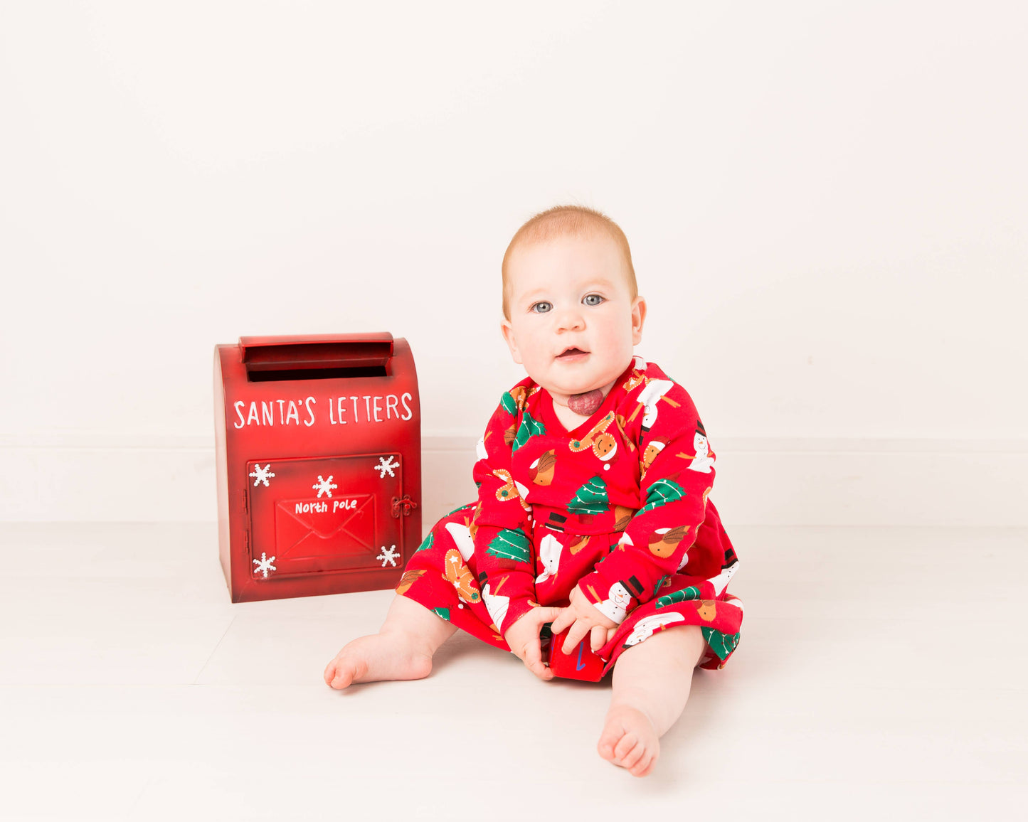 Blade and Rose Limited - Christmas Dress: 2-3 Years