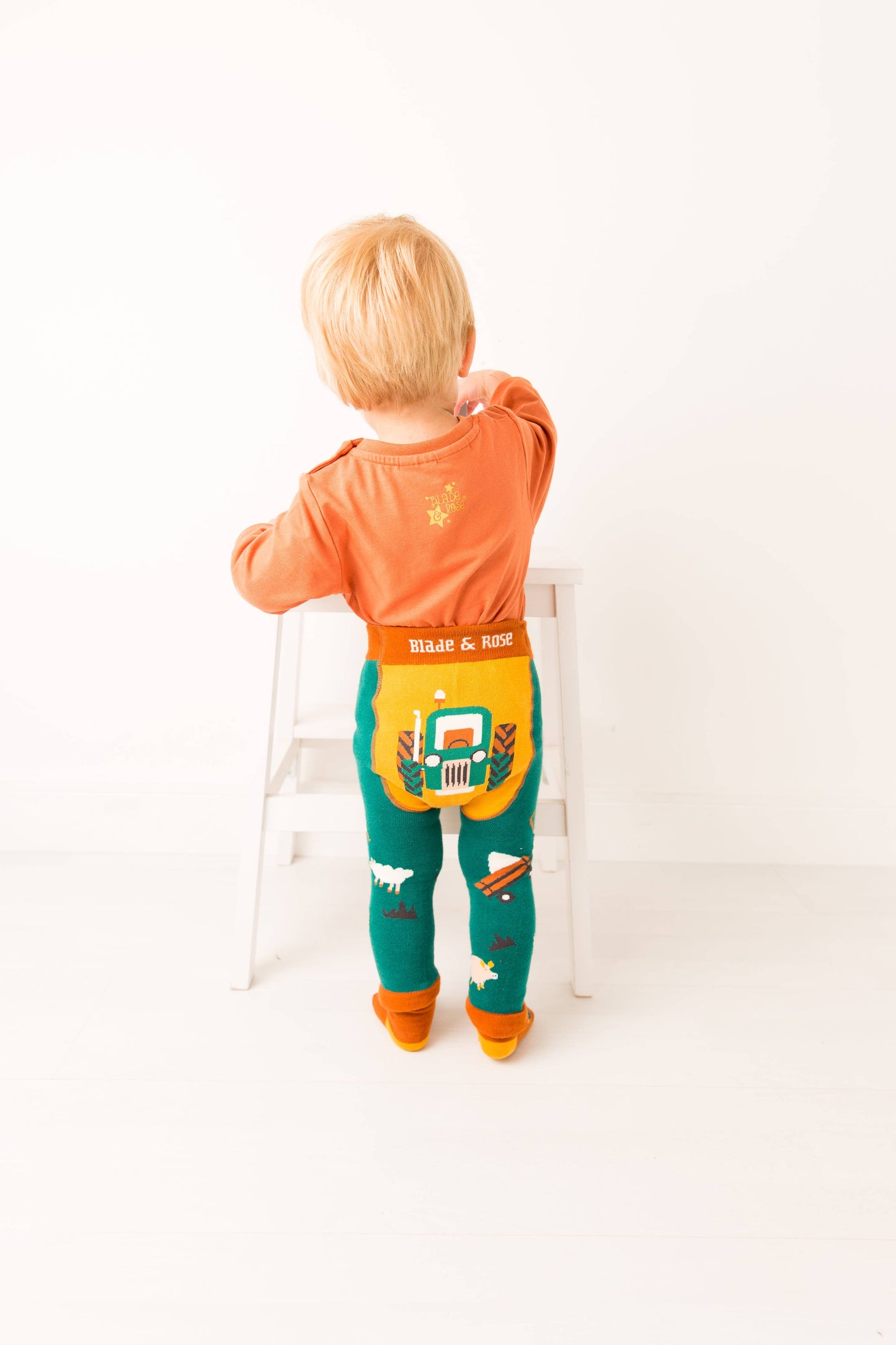 Blade and Rose Limited - Rustic Farmyard Collection: 0-6 Months / Socks