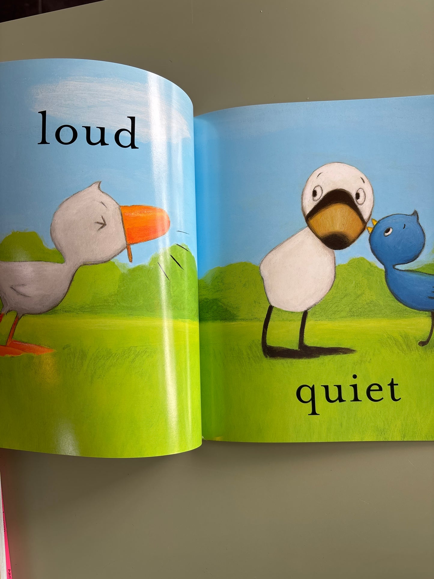Duck and Goose What’s up Duck? Book of opposites