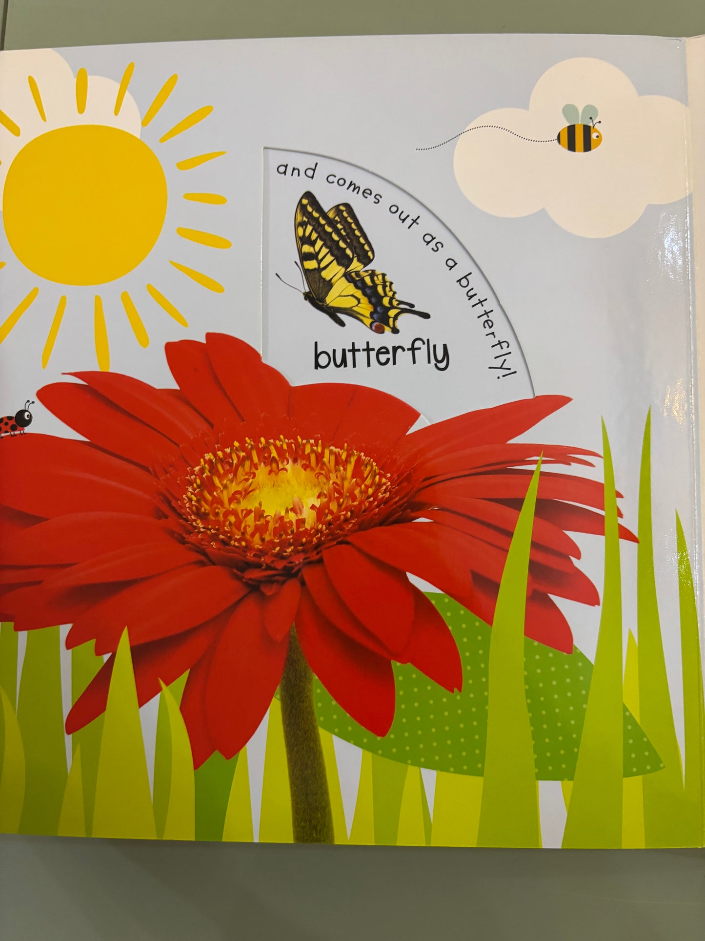 Turn to Learn Watch me Grow!