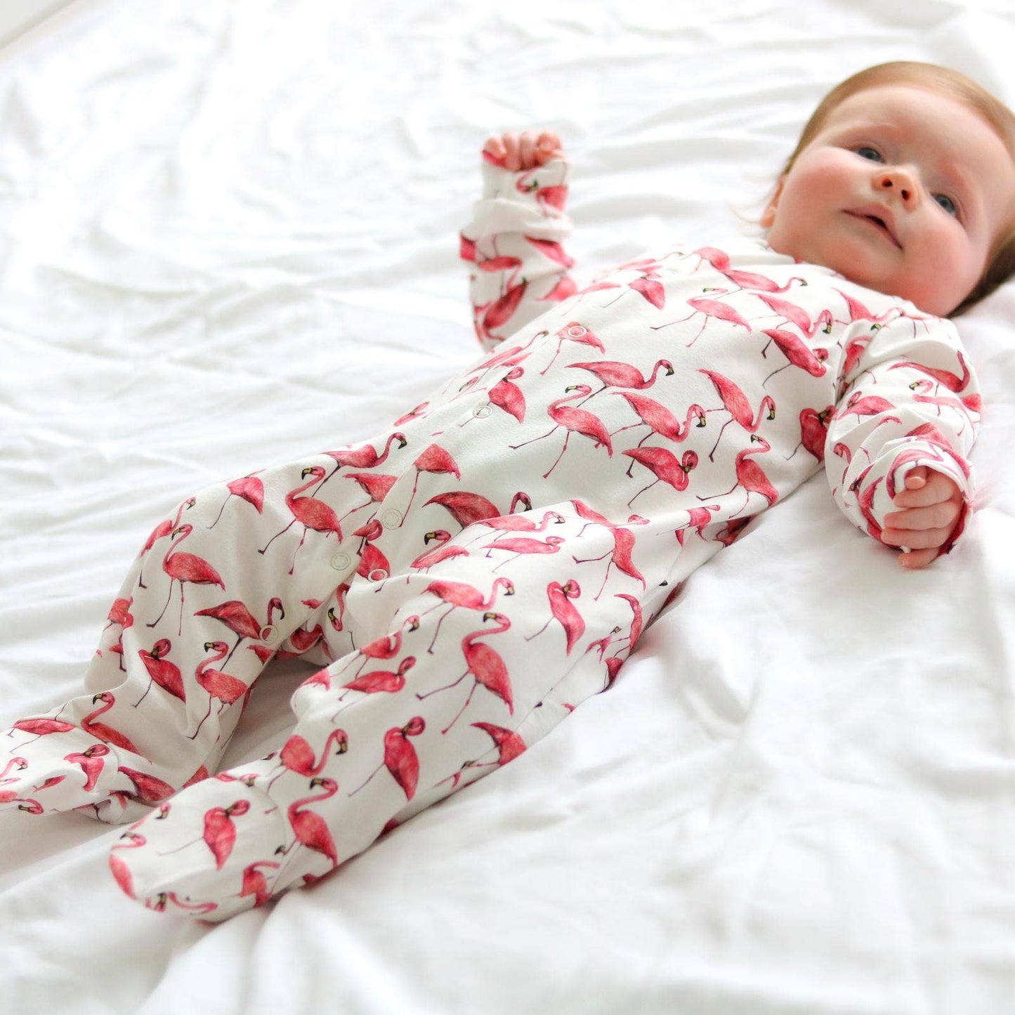 Fred & Noah - Flamingo cotton sleepsuit: Newborn
