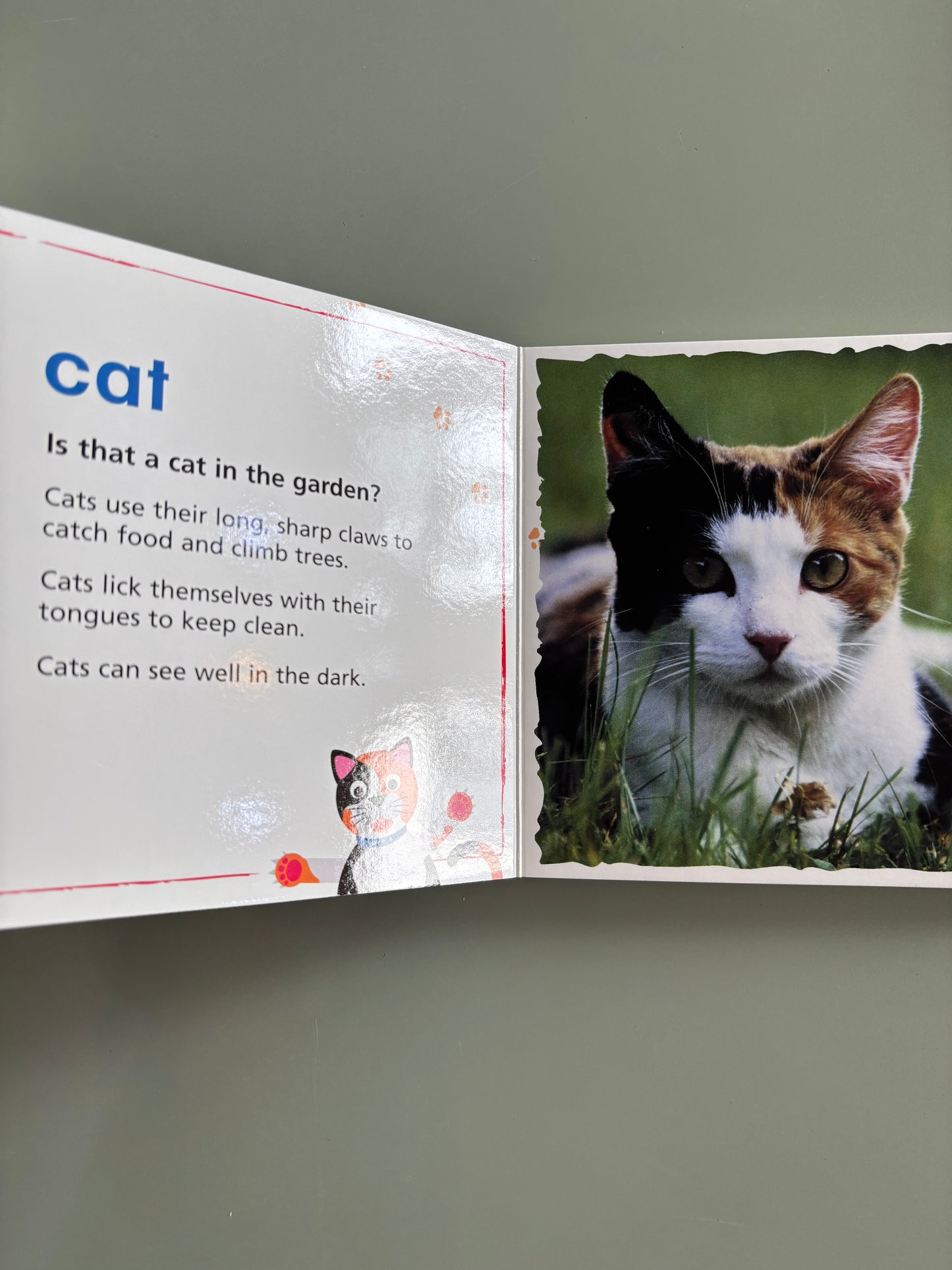 Baby Einstein Neighbourhood animals