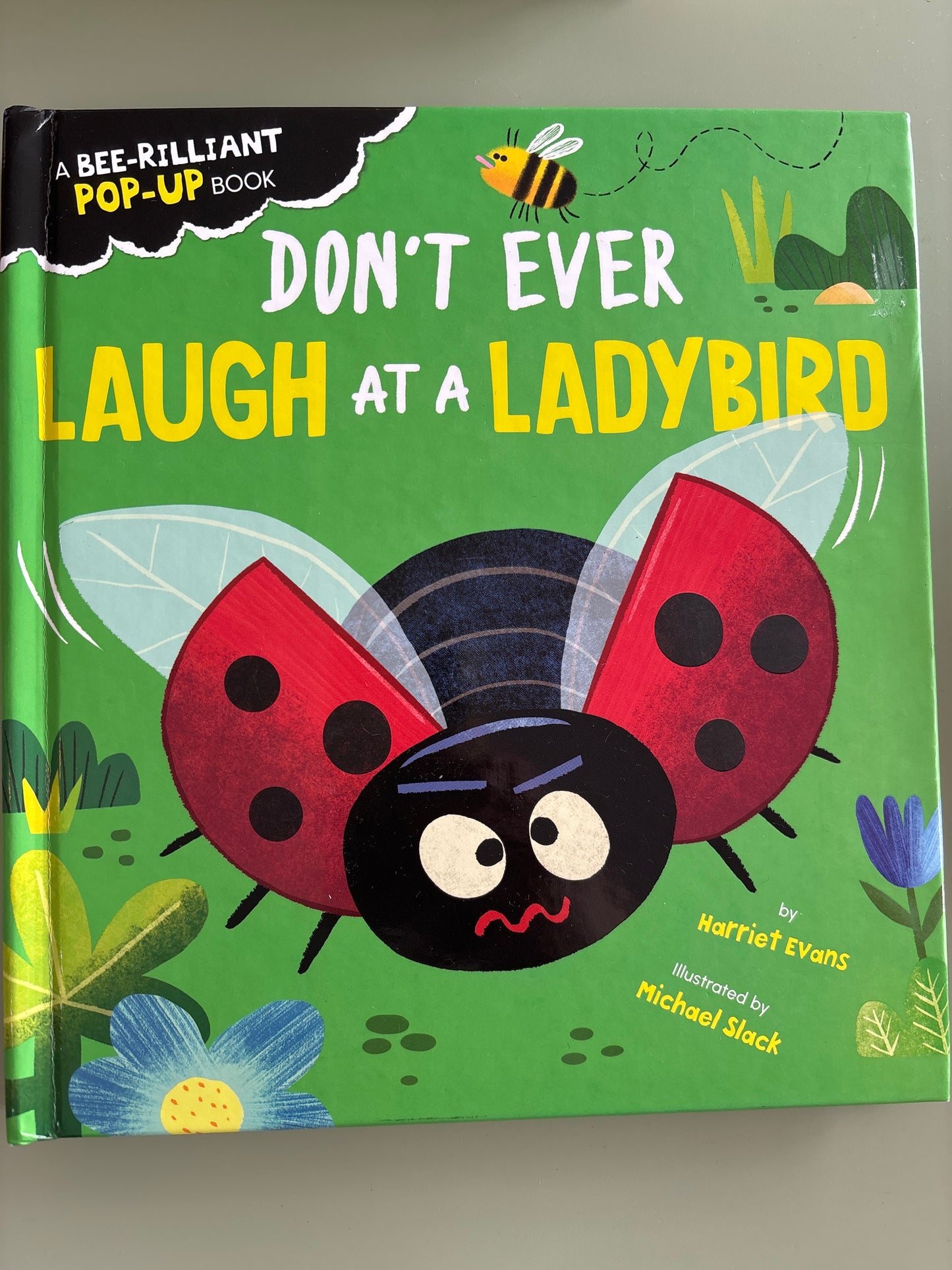 Don’t ever laugh at a ladybird