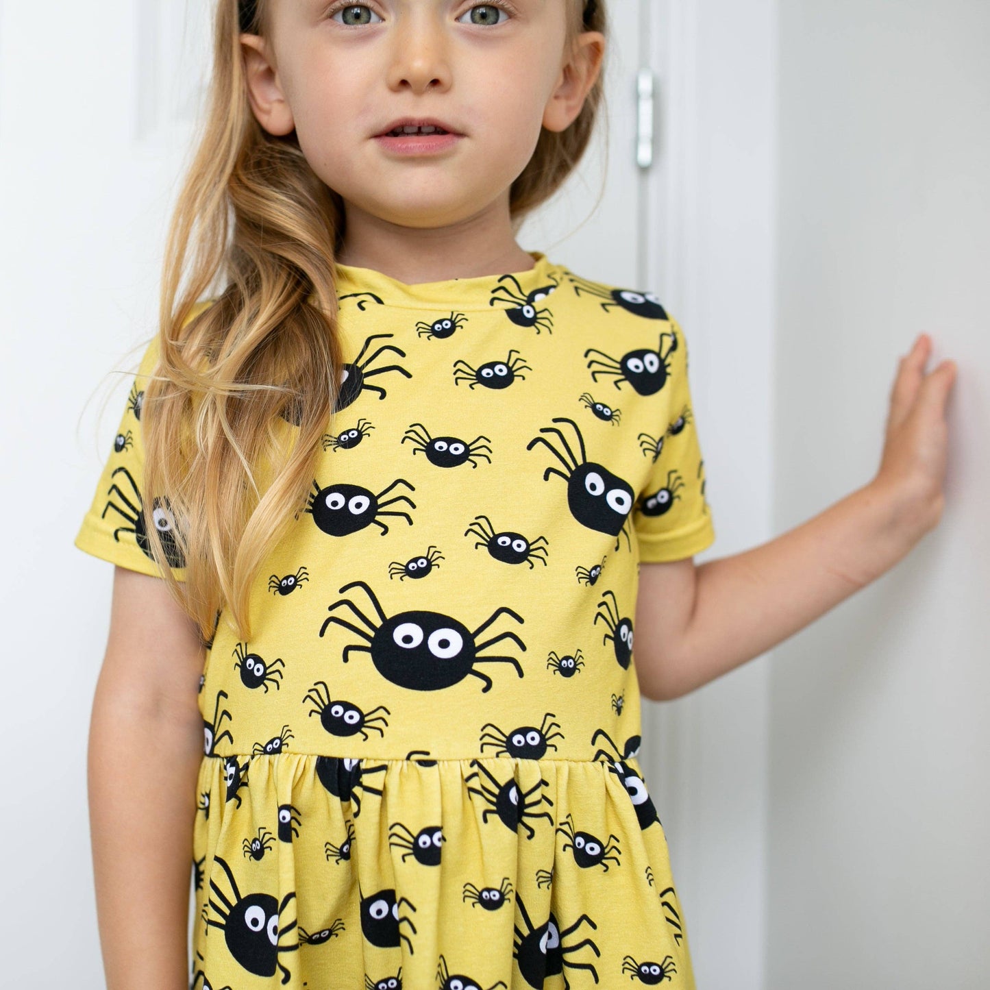 Fred & Noah - Spider print Dress: 2-3 Y