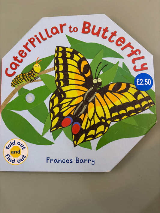 Caterpillar to Butterfly