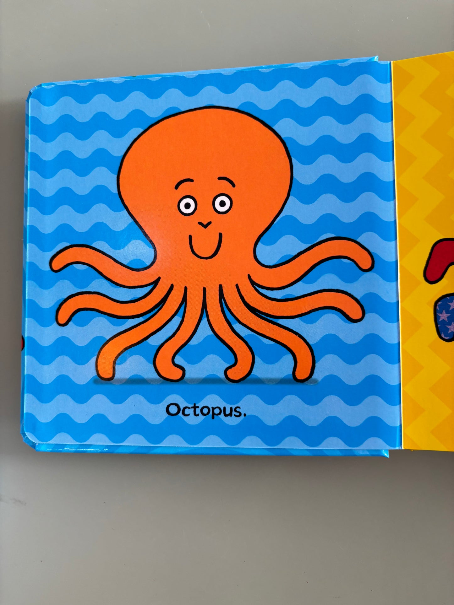 Octopus socktopus