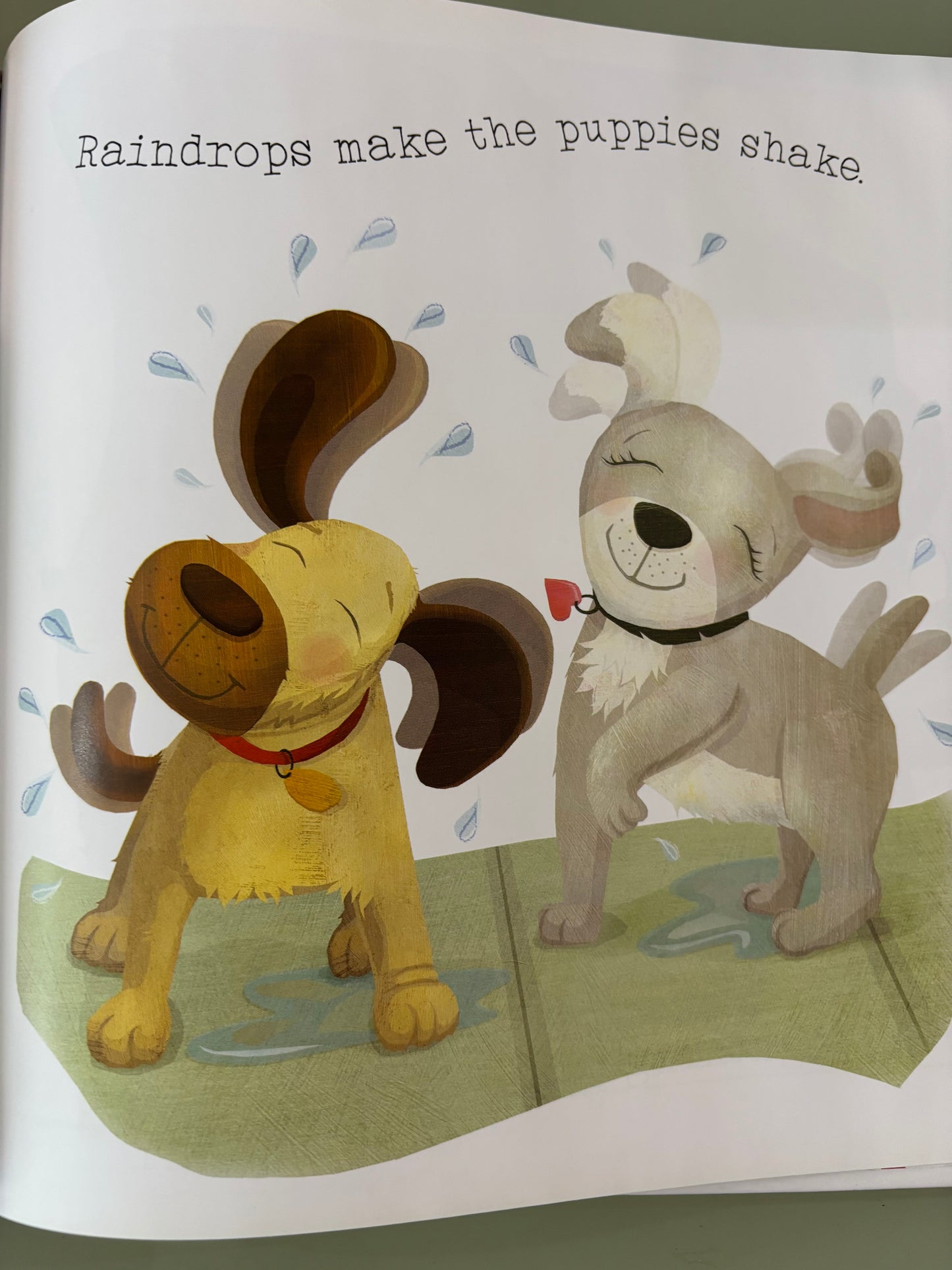 Sunshine Brightens Springtime