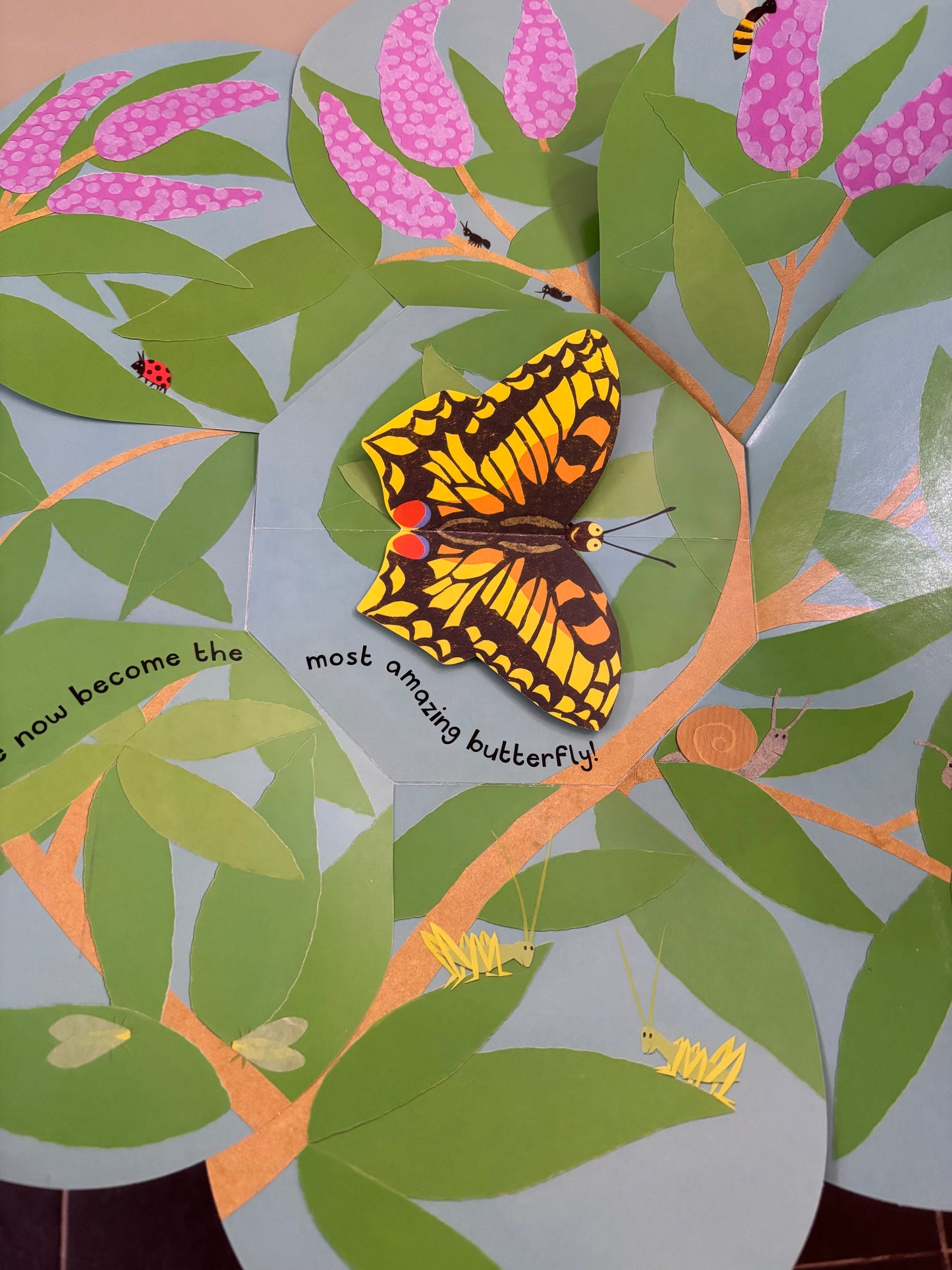 Caterpillar to Butterfly