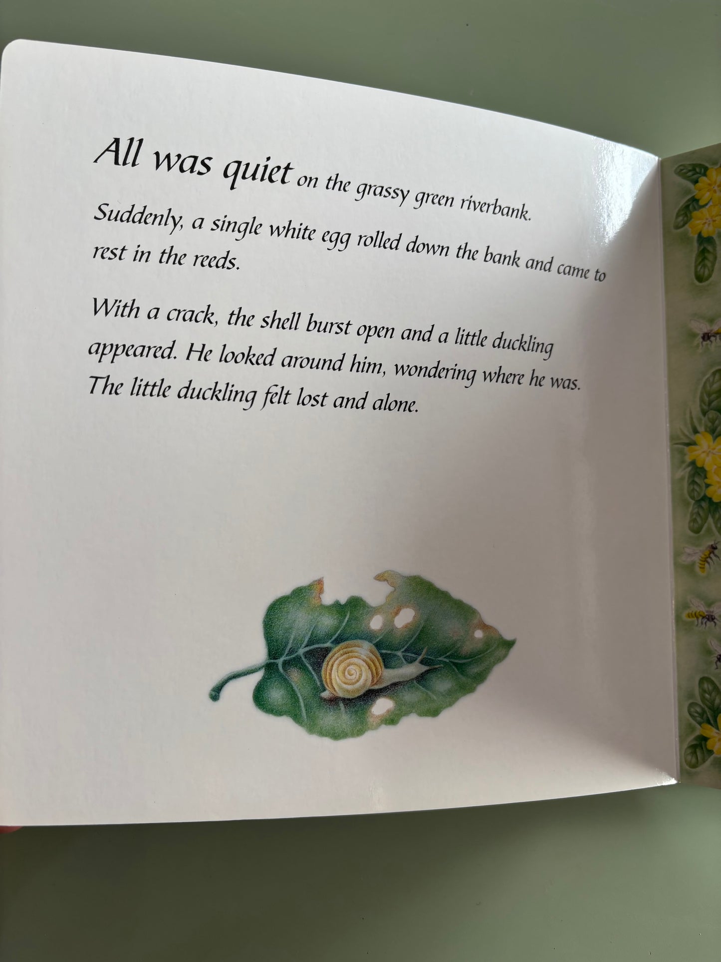 Little Duck Lost