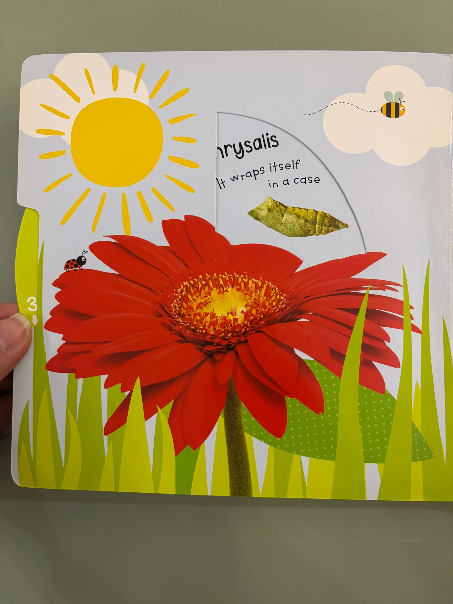 Turn to Learn Watch me Grow!