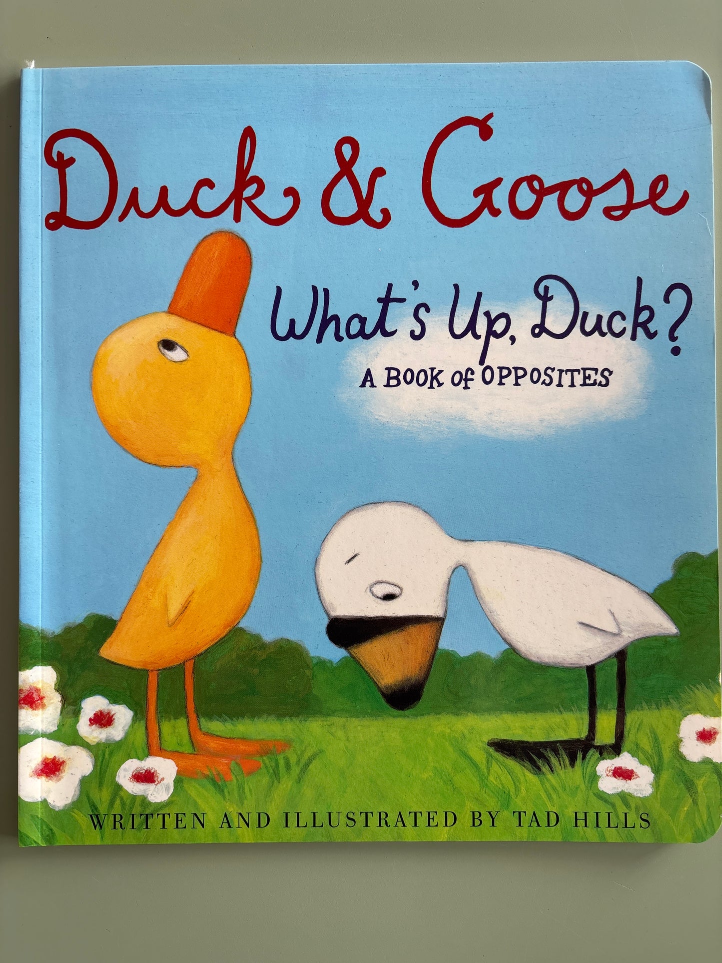 Duck and Goose What’s up Duck? Book of opposites