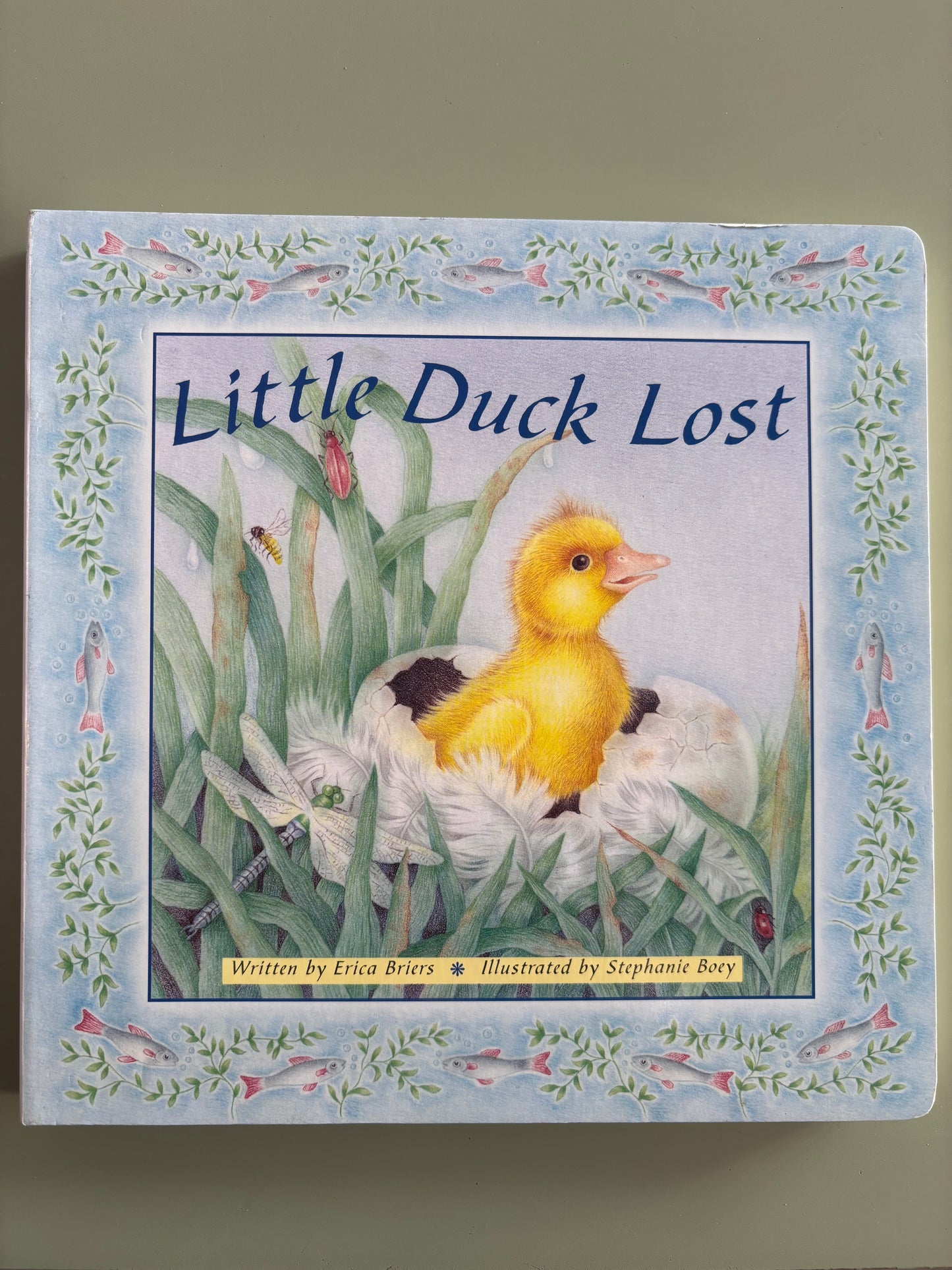 Little Duck Lost