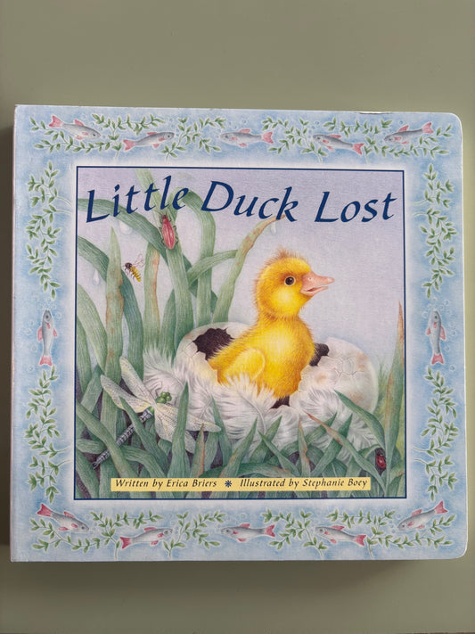 Little Duck Lost