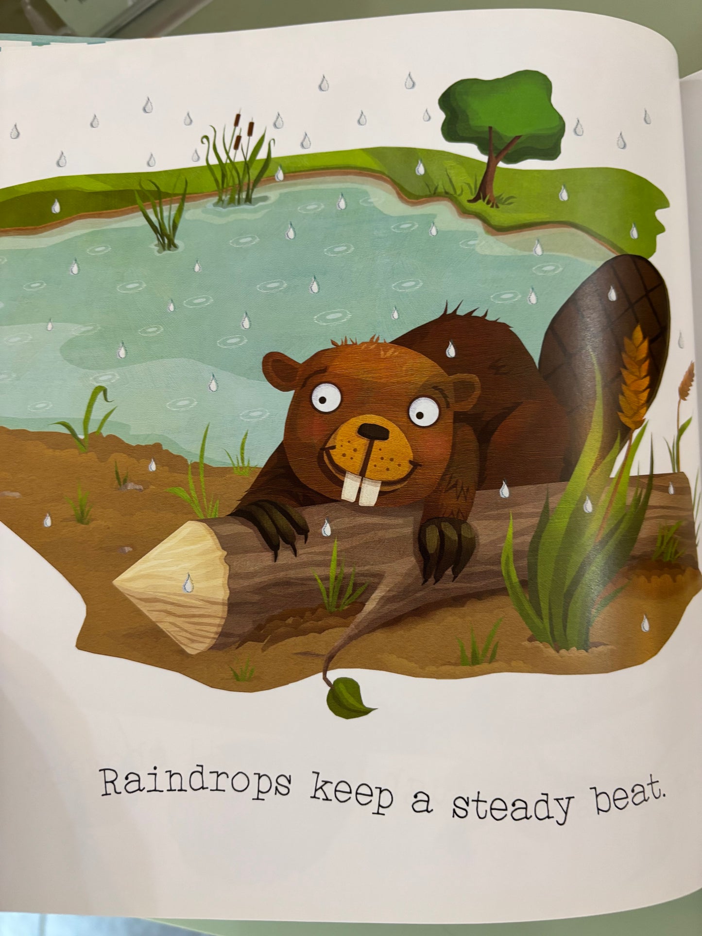 Raindrops Fall All Around