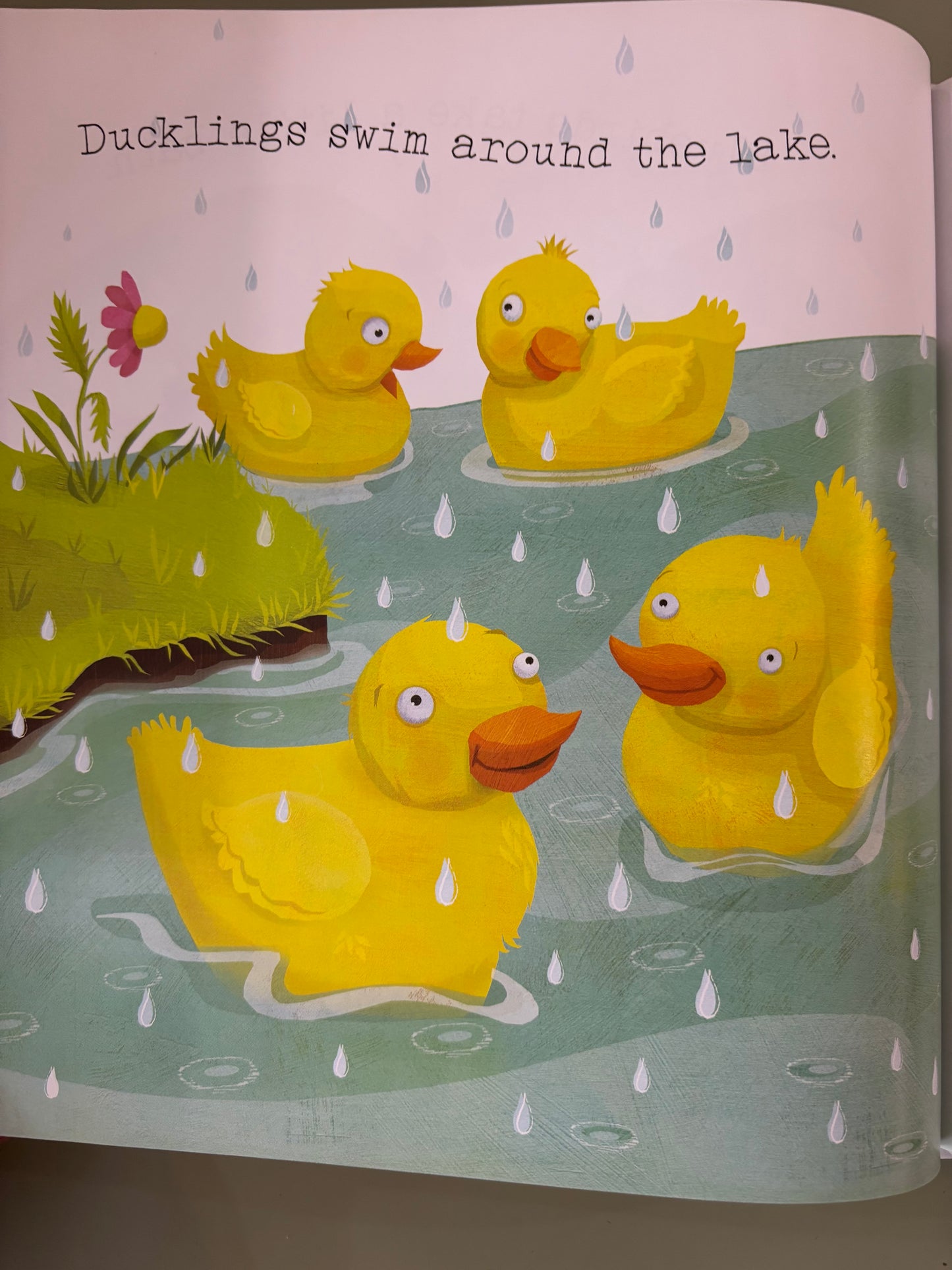 Raindrops Fall All Around