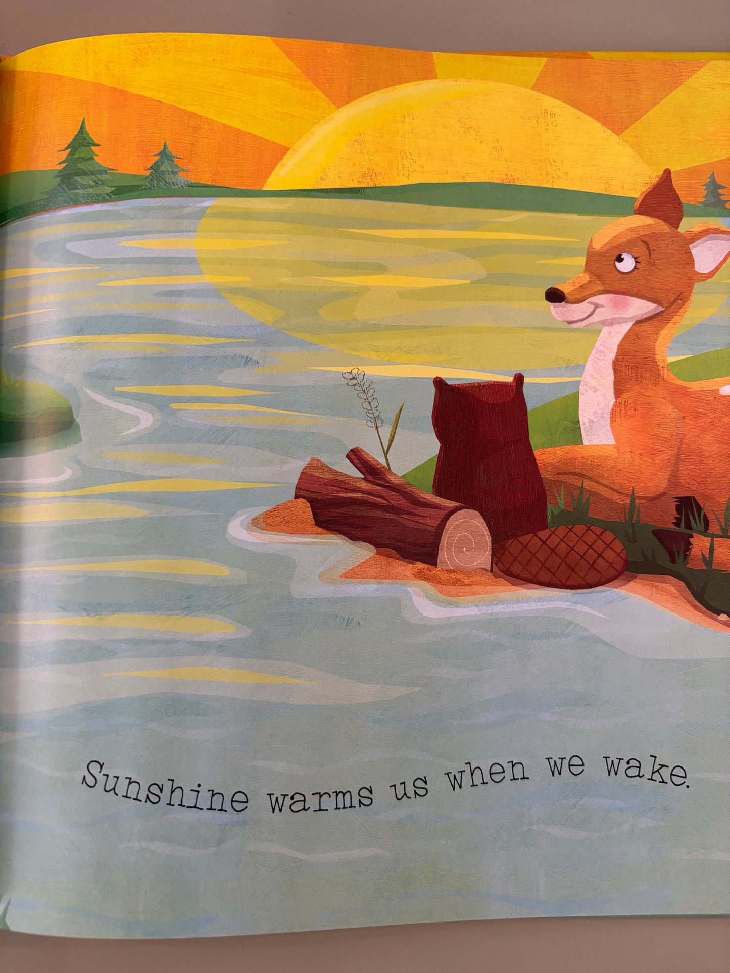 Sunshine Brightens Springtime