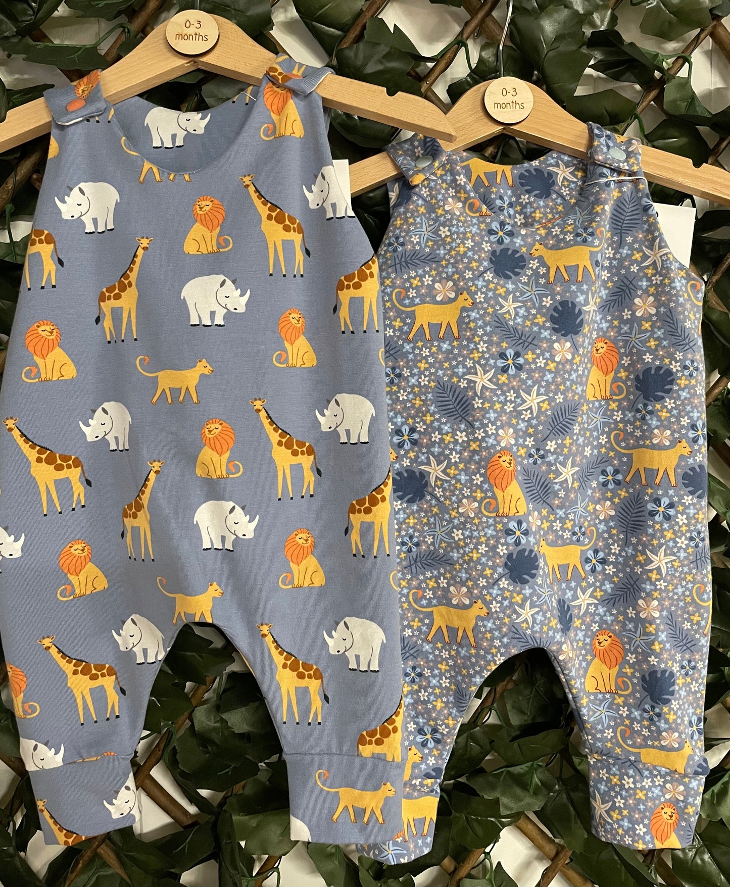 Safari