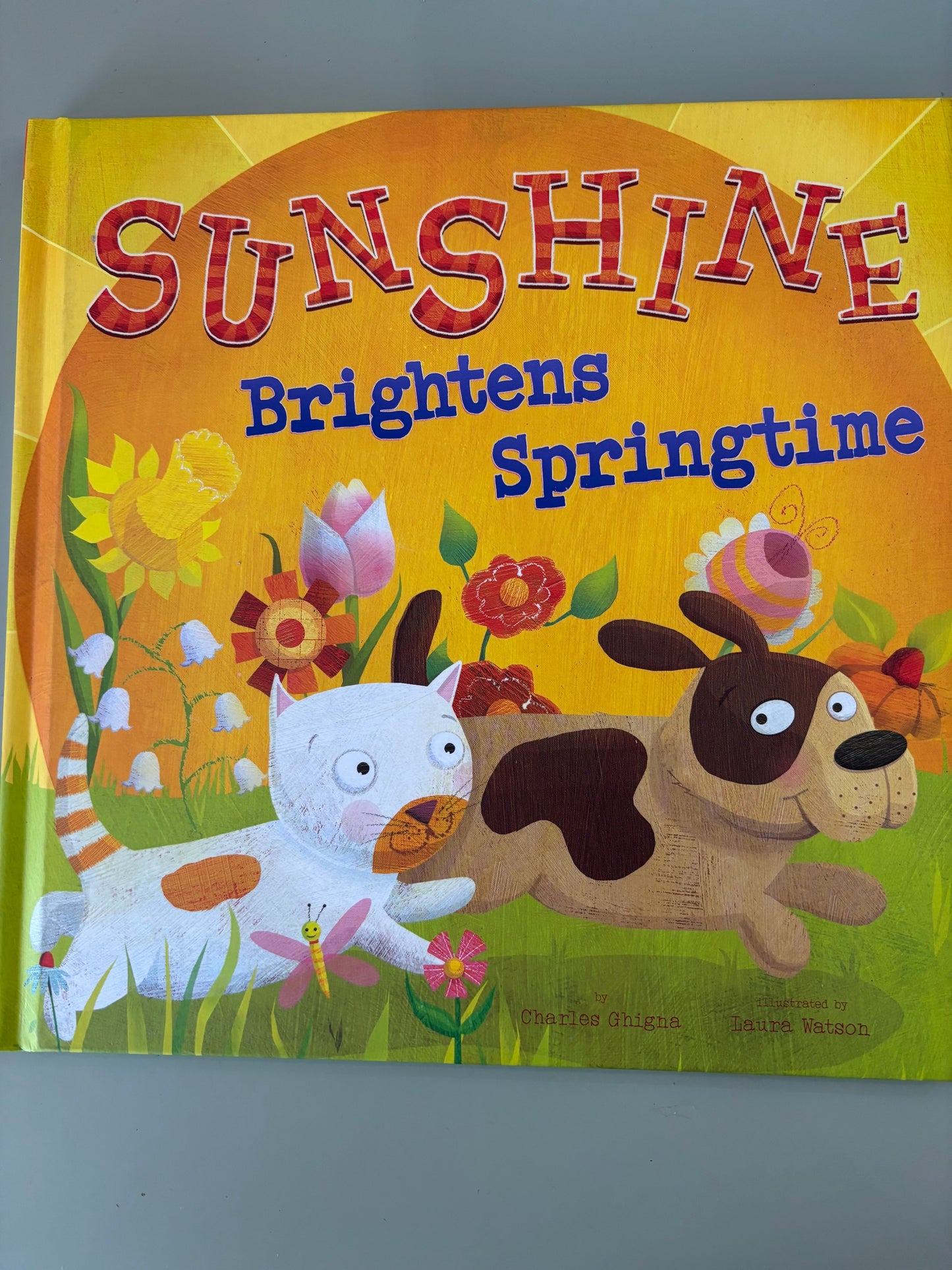 Sunshine Brightens Springtime