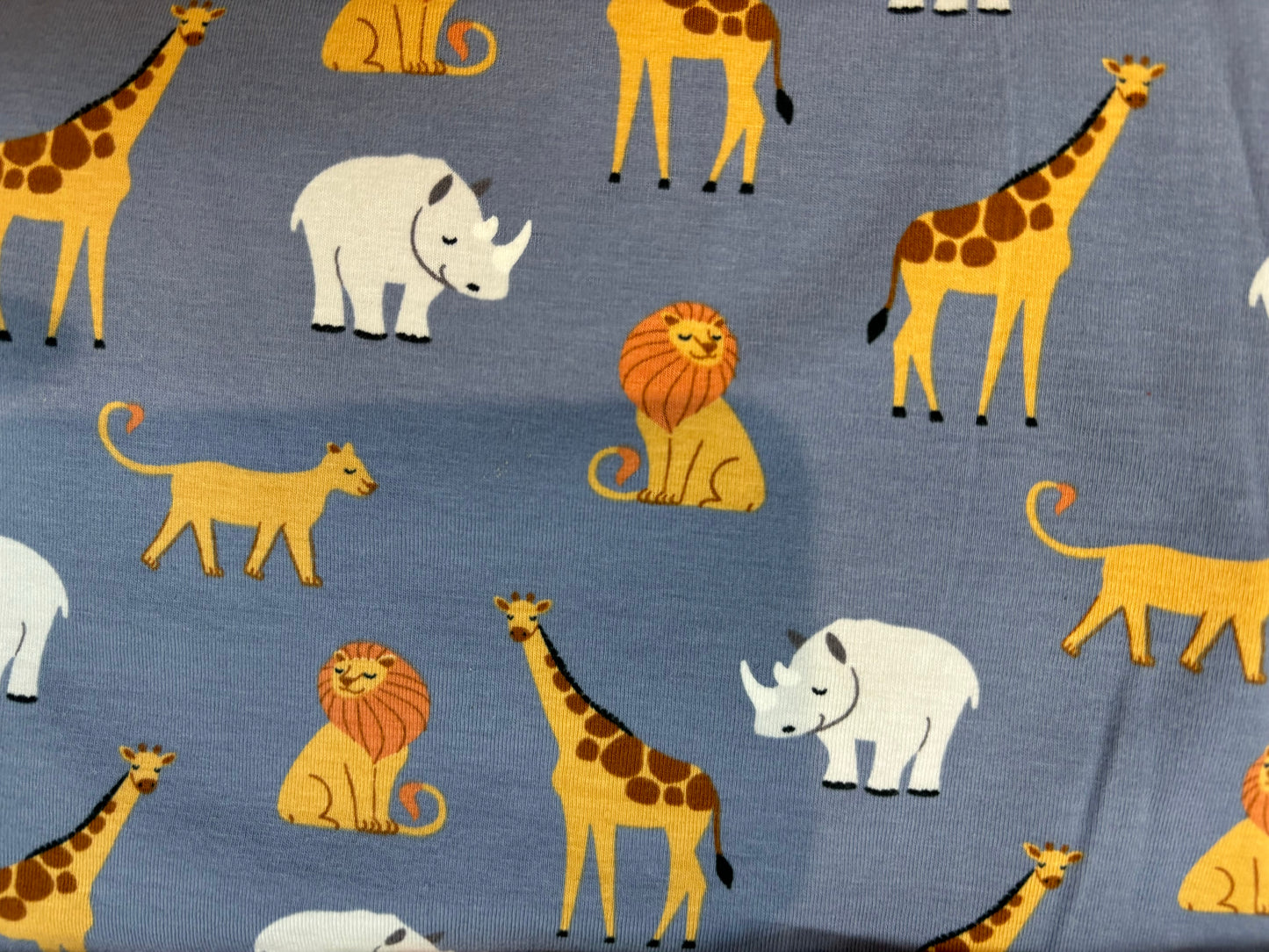 Safari