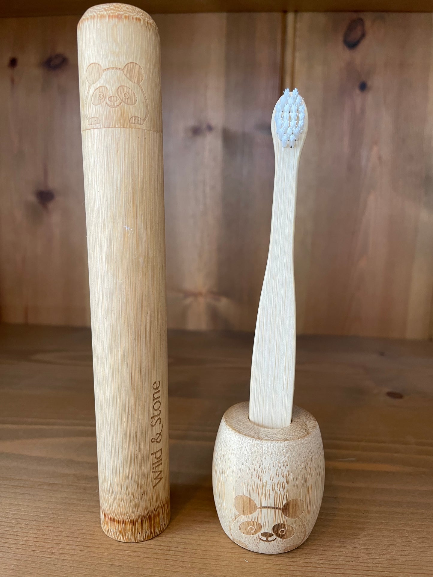 Toothbrush case/stand