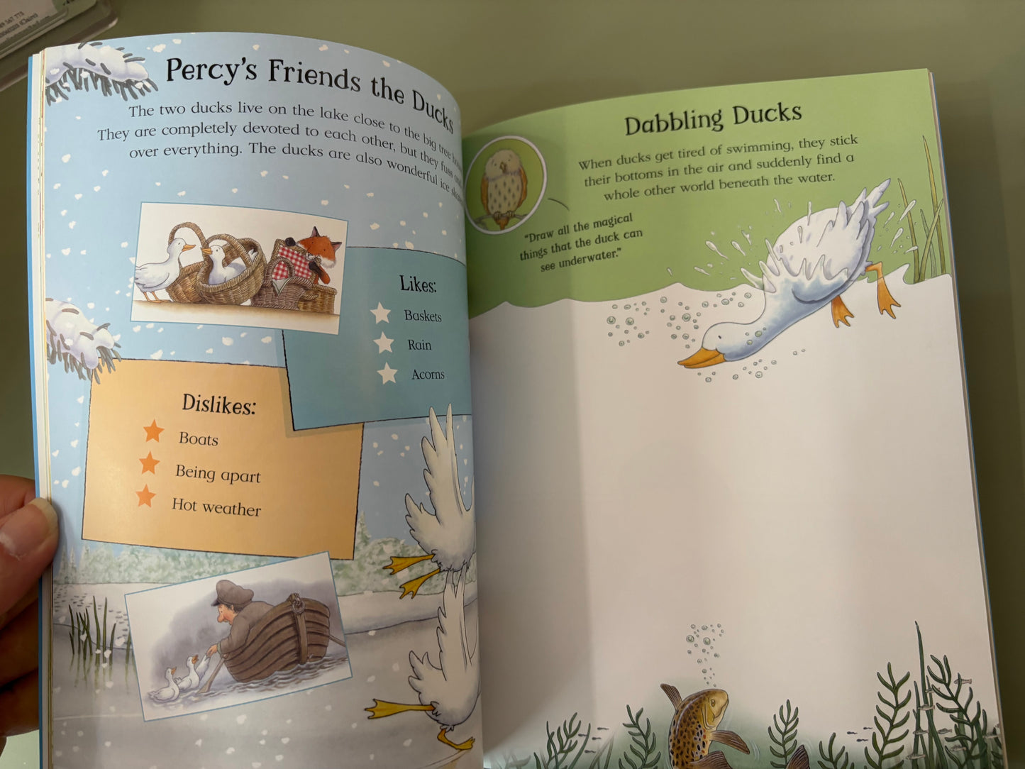Percy and Friends Activity Book