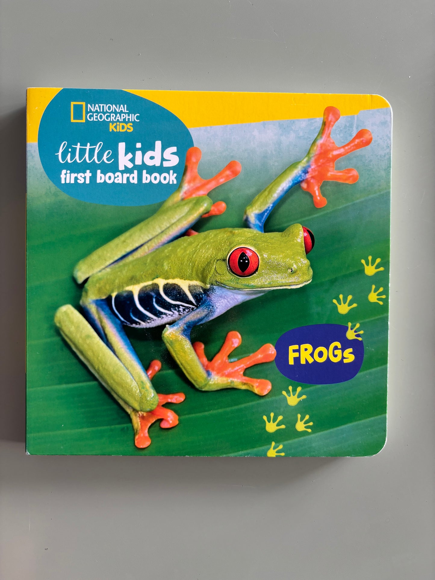 Little Kids first board book - Frogs